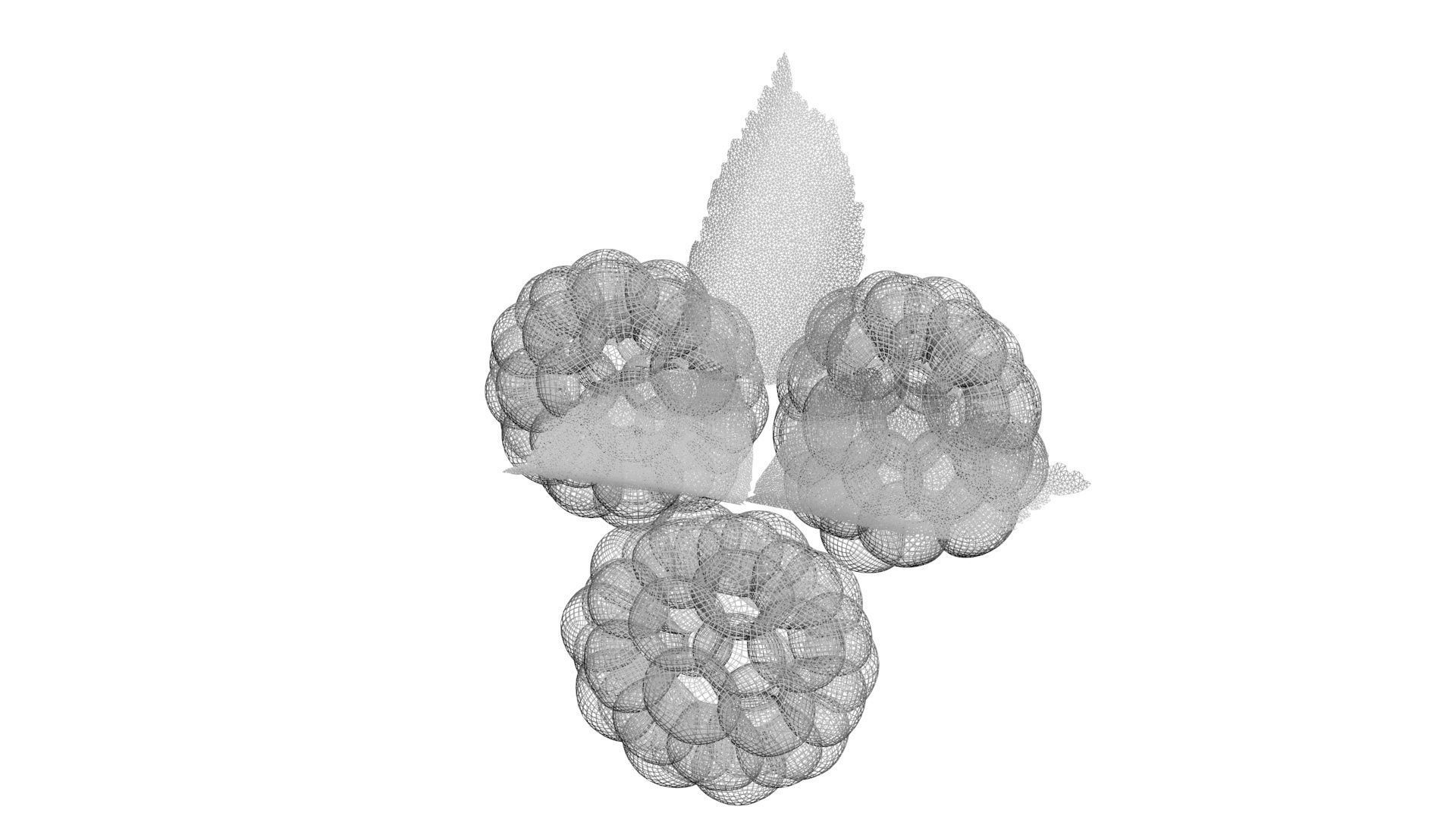 Raspberries With Leaves 3D model_20