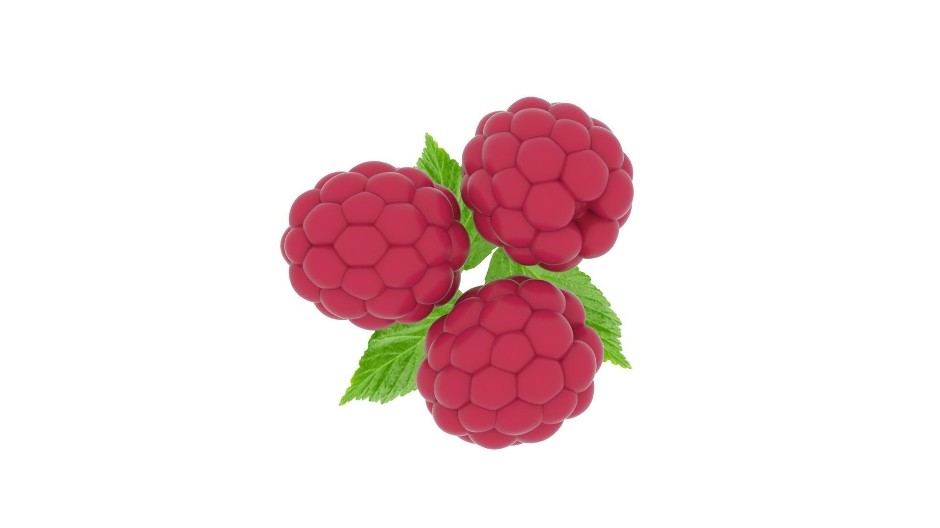 Raspberries With Leaves 3D model_16