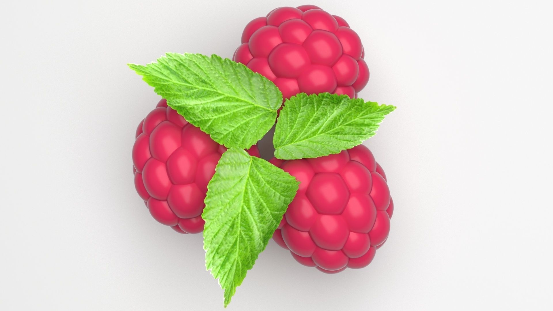 Raspberries With Leaves 3D model_3