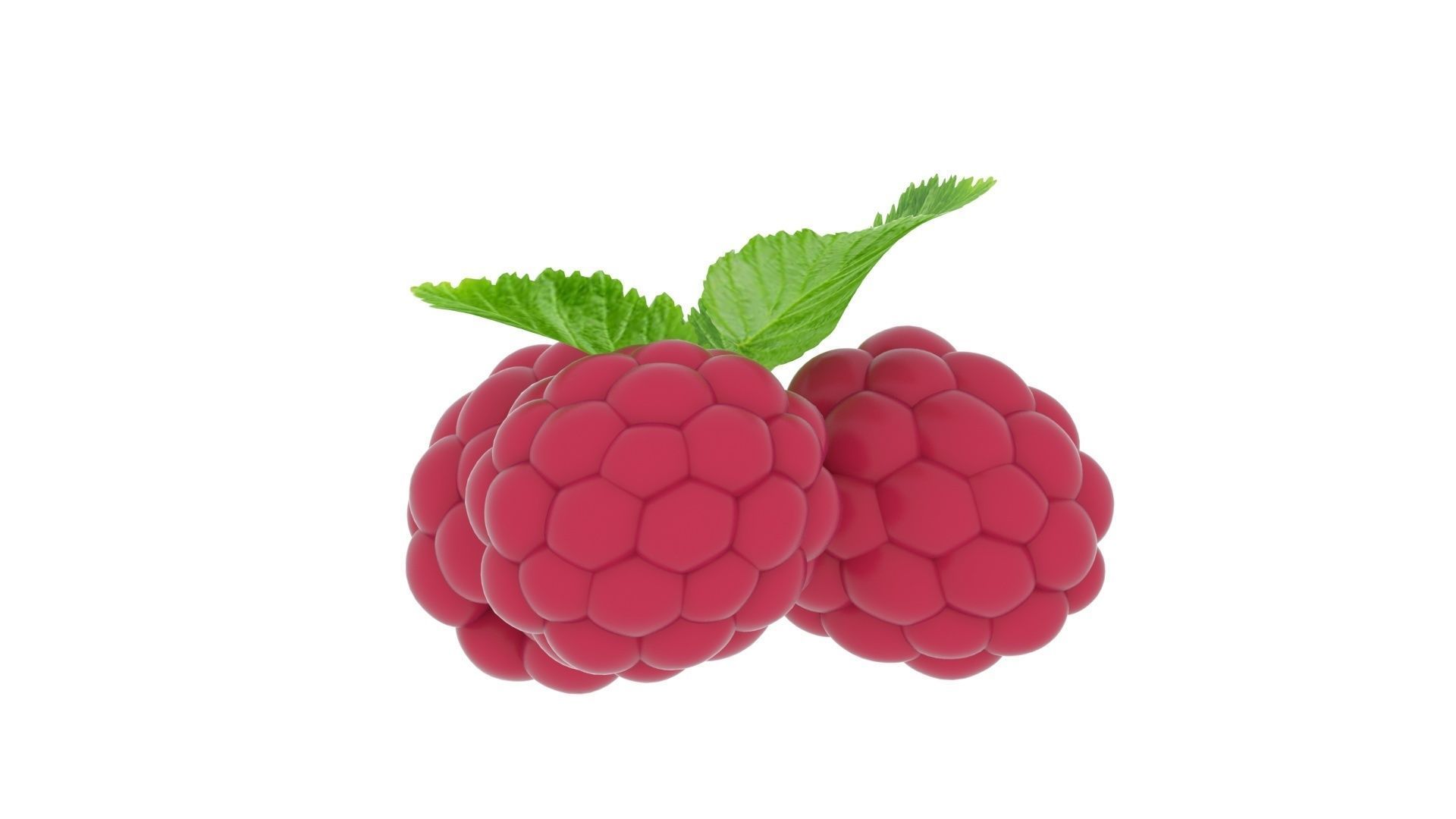 Raspberries With Leaves 3D model_17