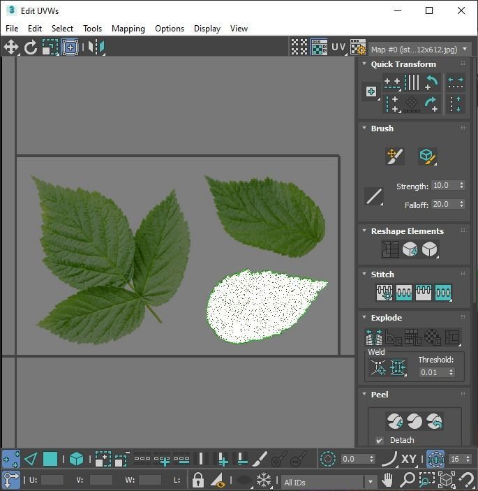 Raspberries With Leaves 3D model_27
