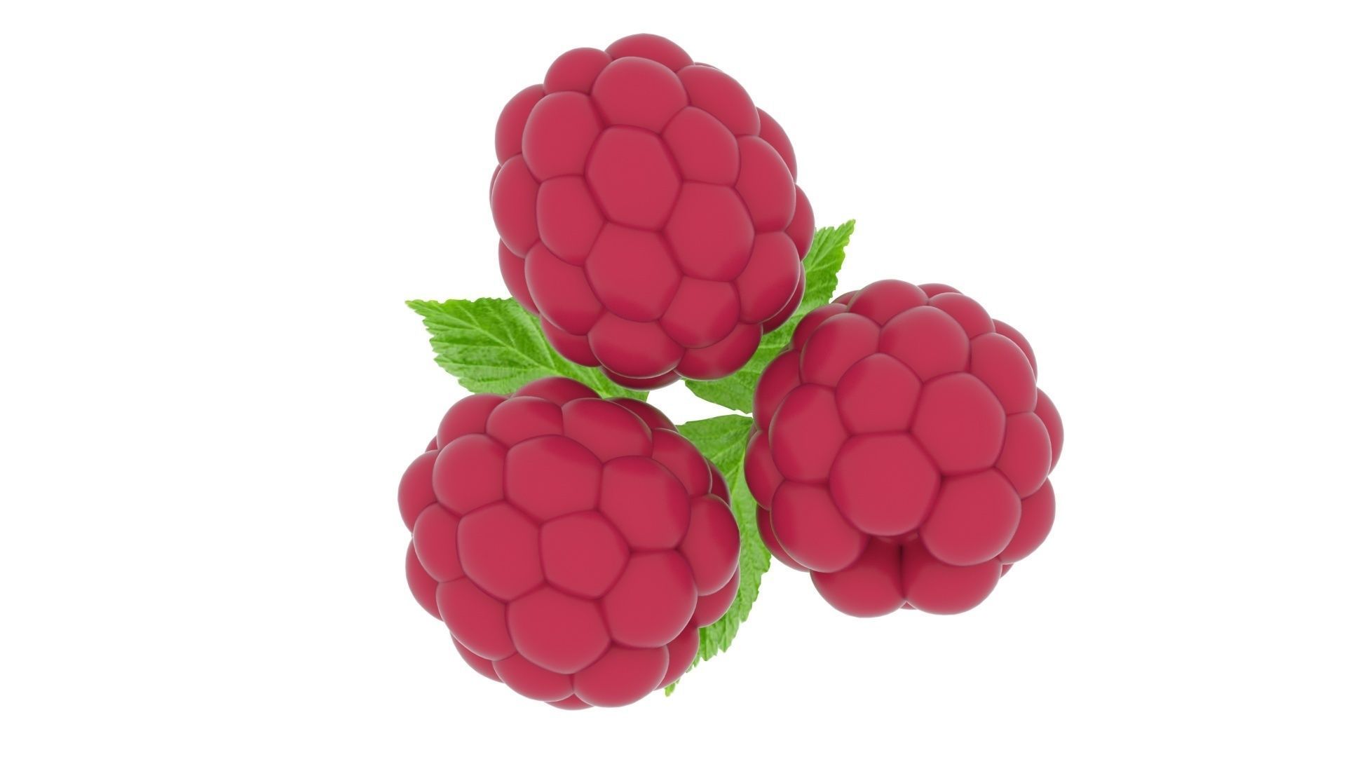 Raspberries With Leaves 3D model_11