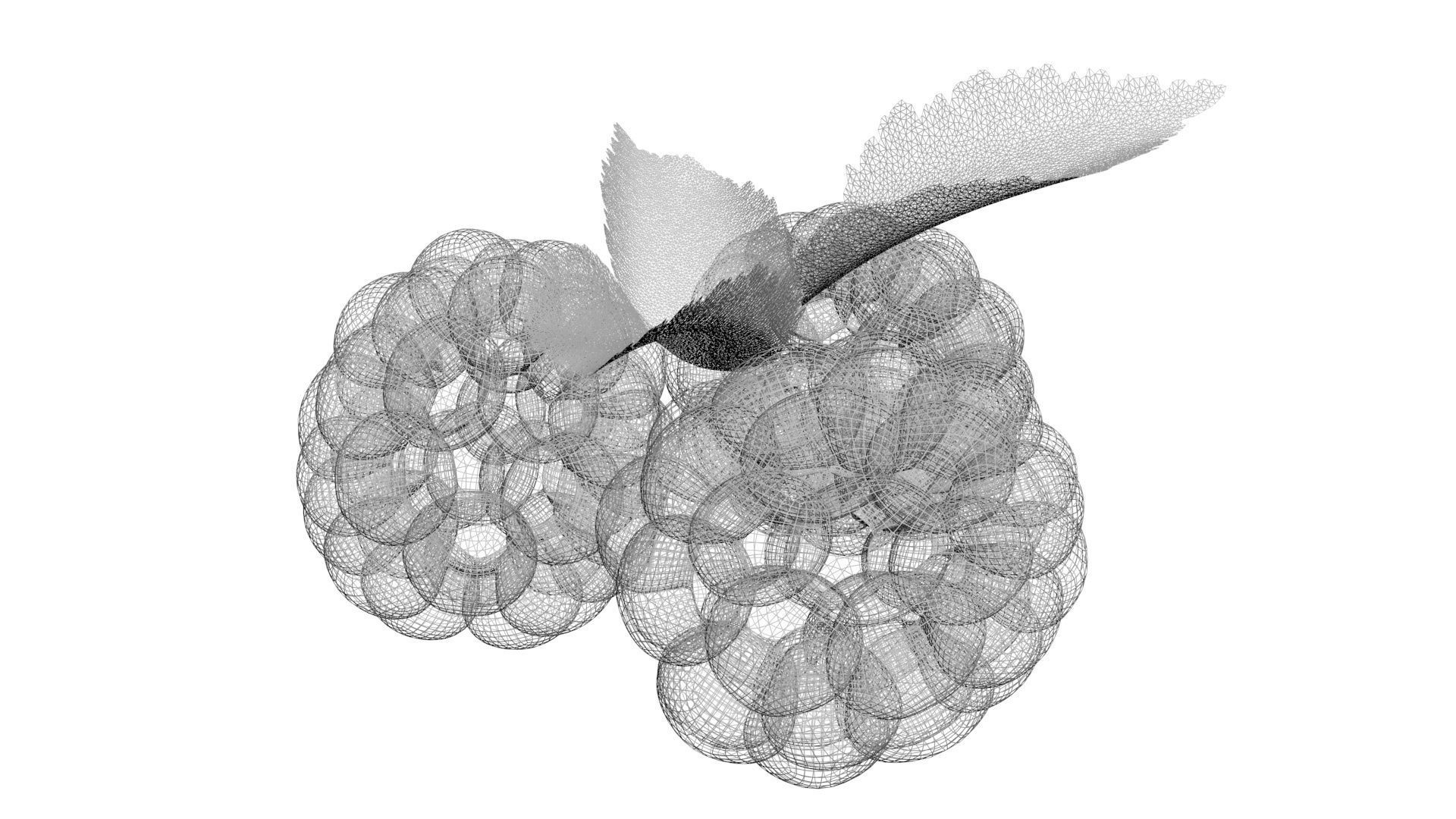 Raspberries With Leaves 3D model_21
