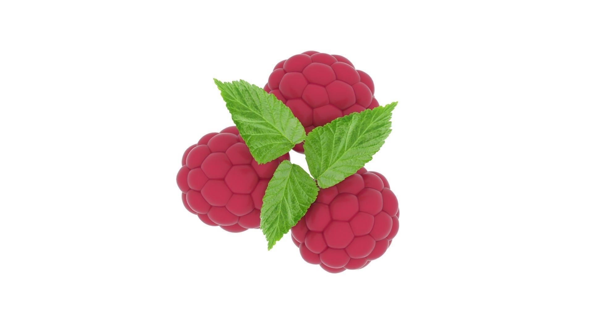 Raspberries With Leaves 3D model_13
