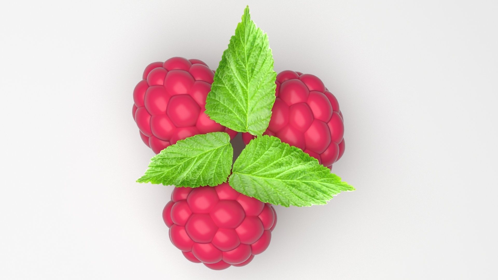 Raspberries With Leaves 3D model_1