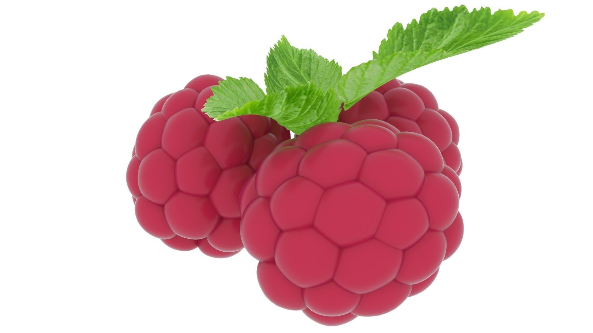 Raspberries With Leaves 3D model_9