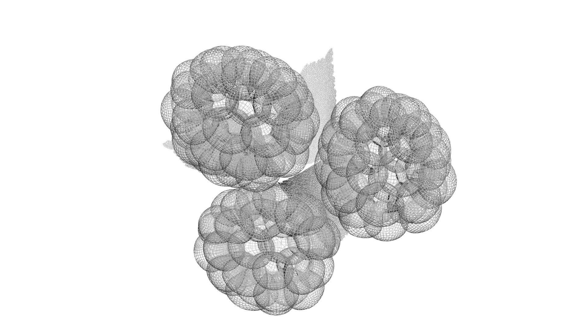 Raspberries With Leaves 3D model_23