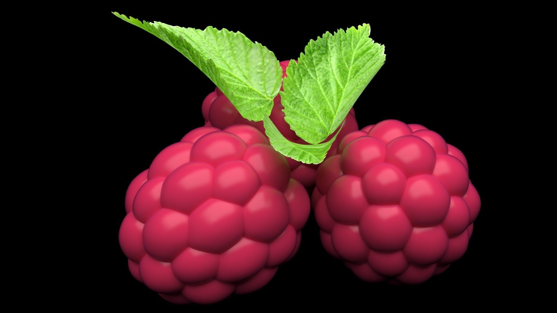 Raspberries With Leaves 3D model_6