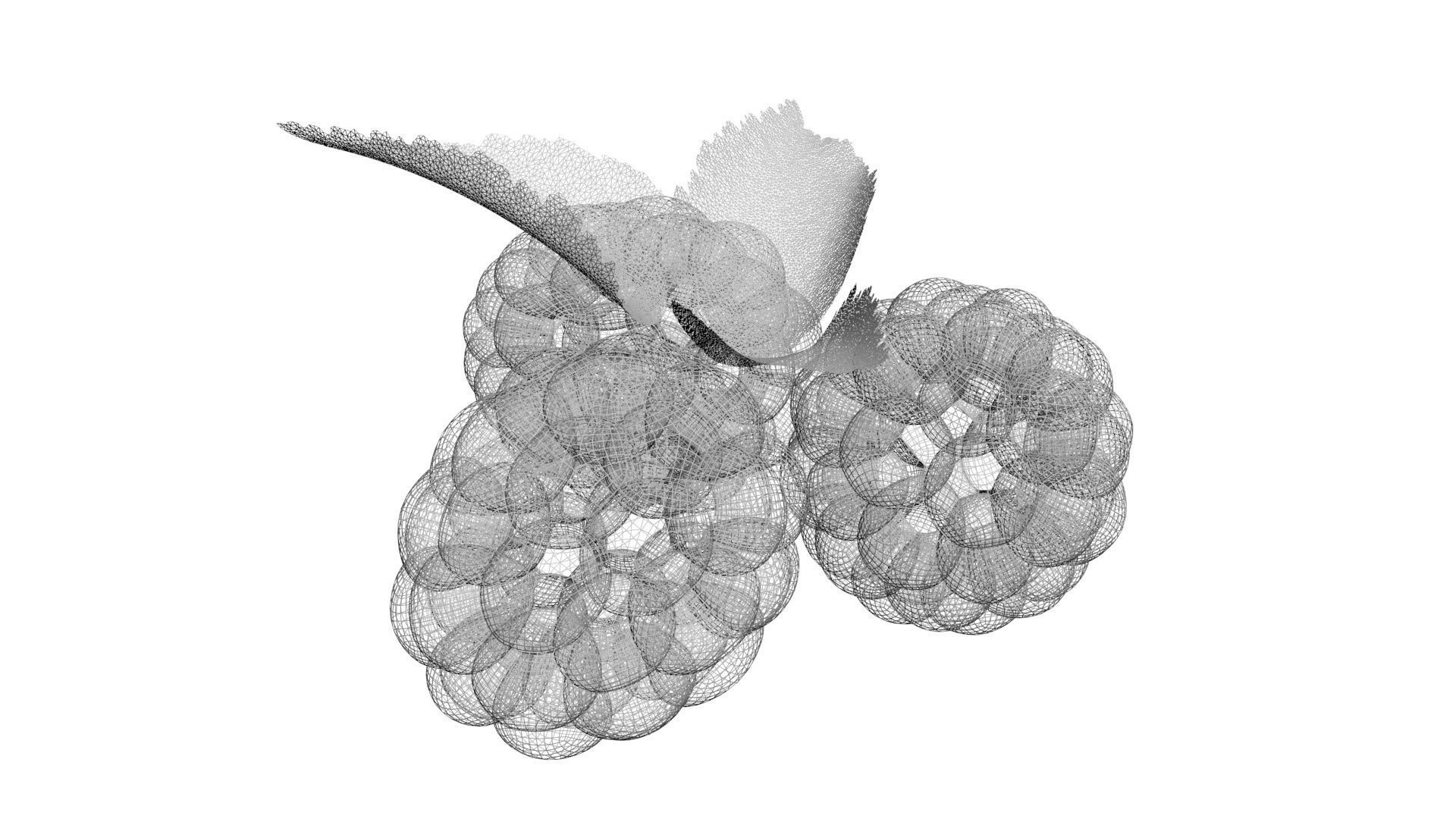 Raspberries With Leaves 3D model_19