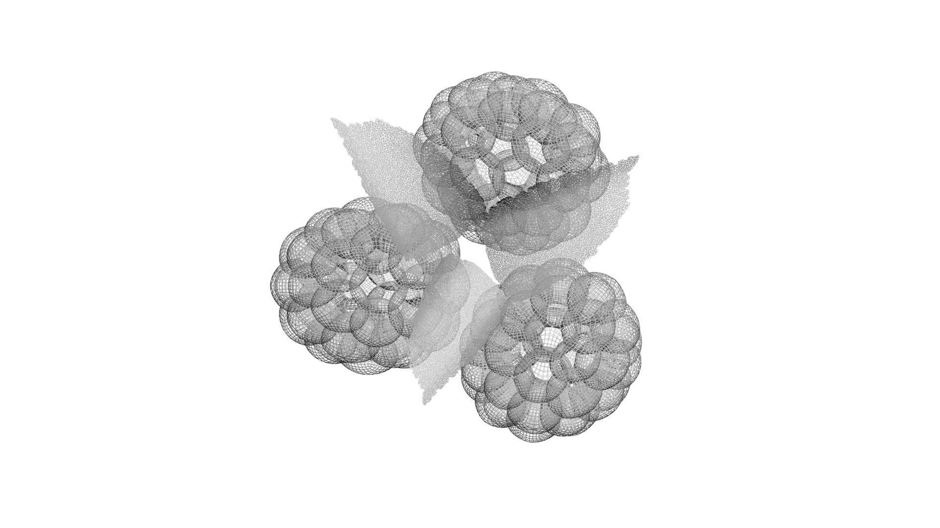 Raspberries With Leaves 3D model_25