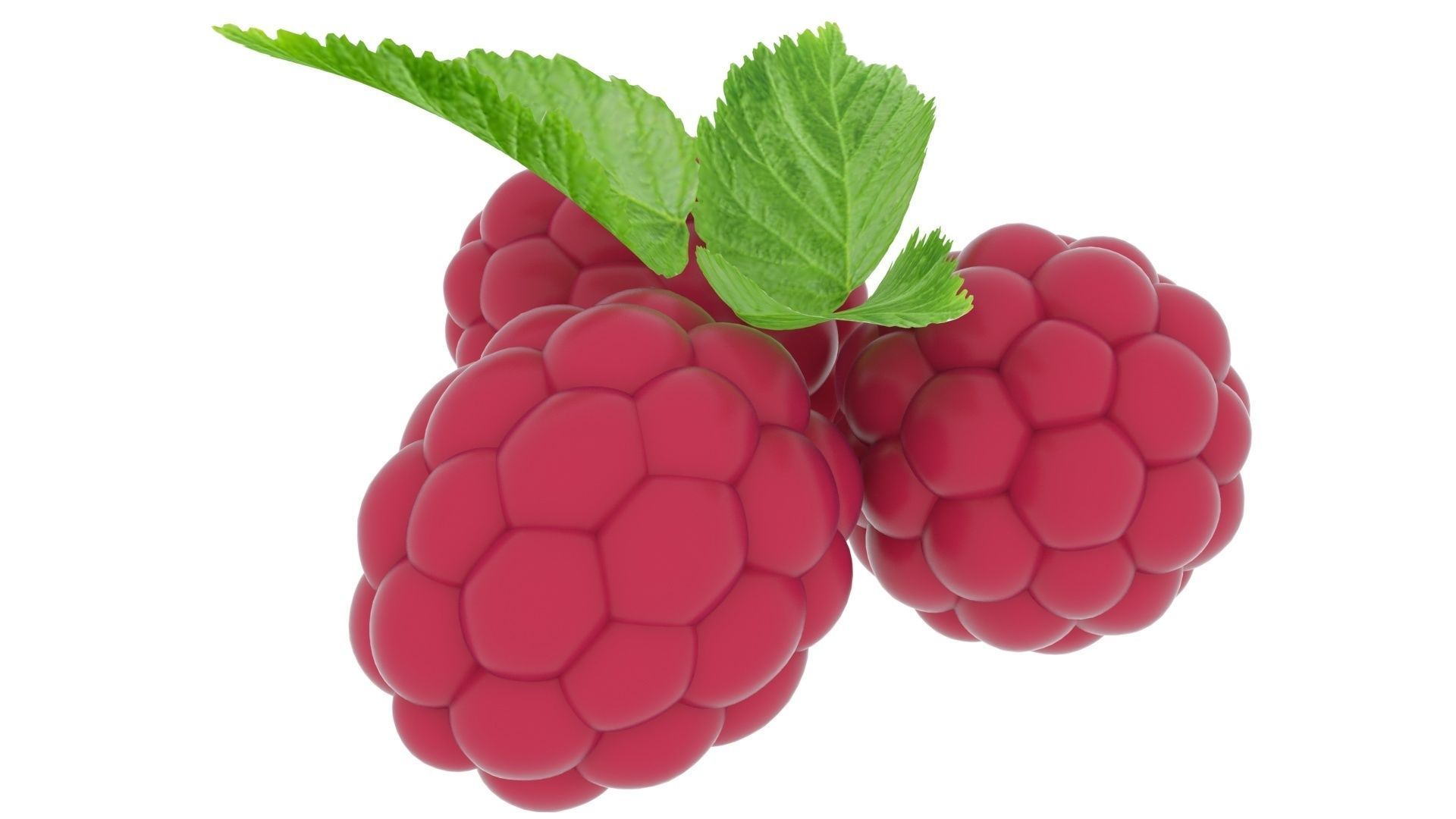 Raspberries With Leaves 3D model_12