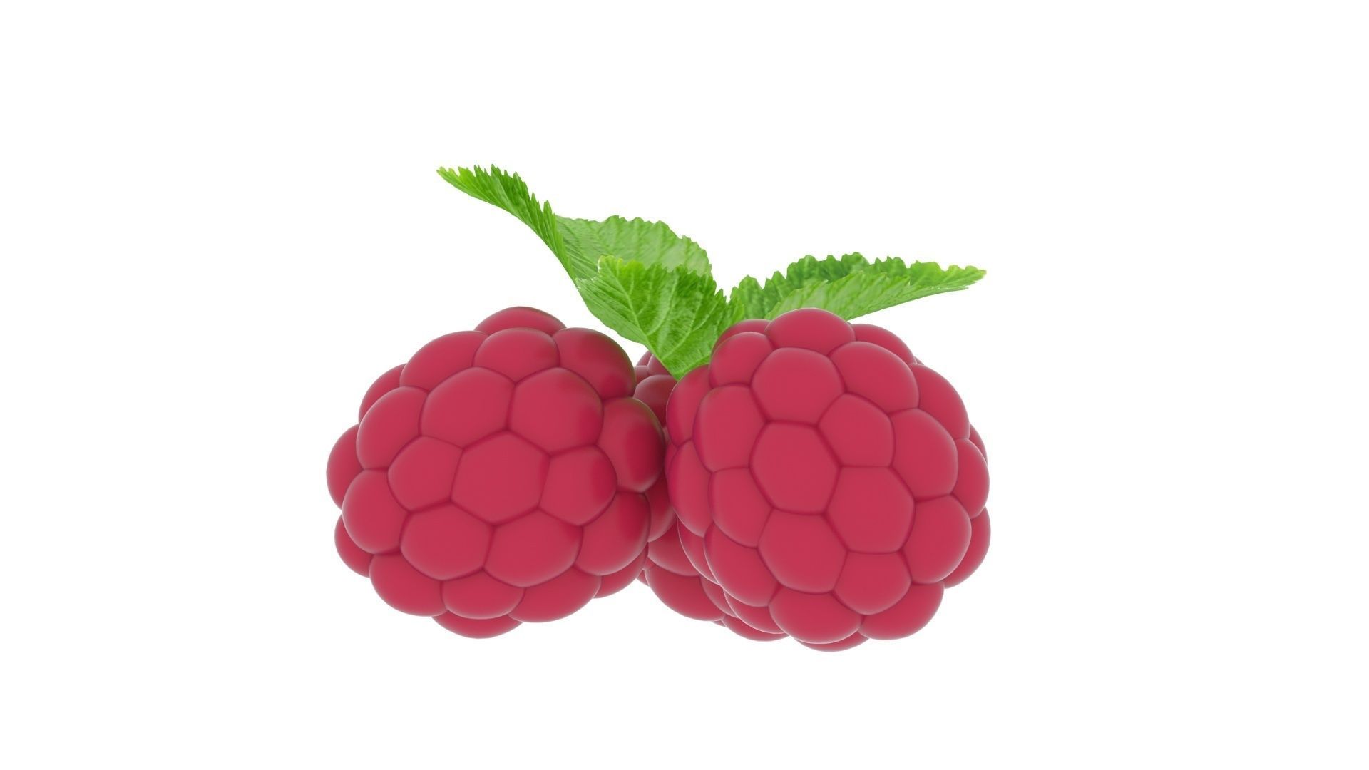 Raspberries With Leaves 3D model_14