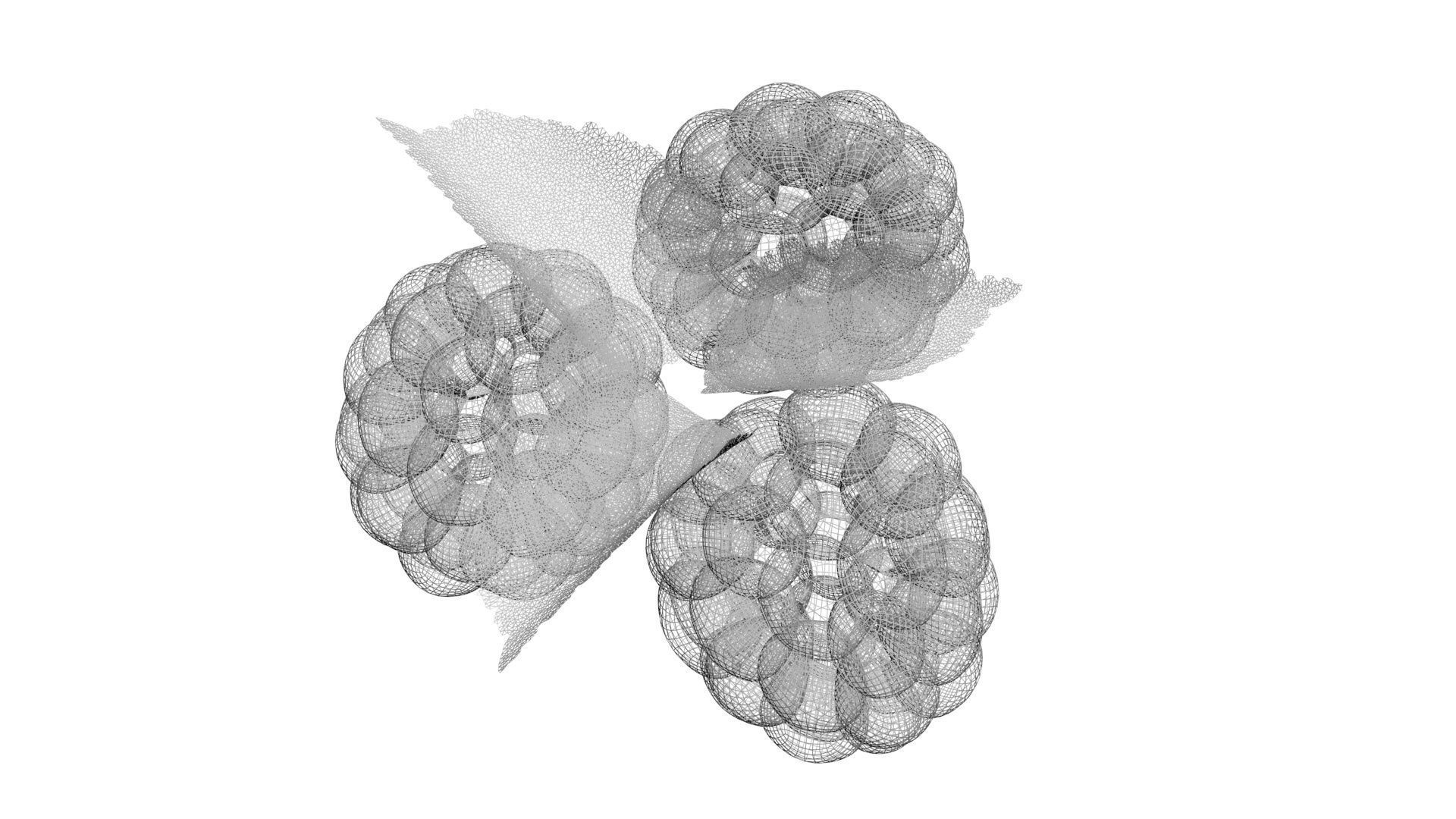 Raspberries With Leaves 3D model_22