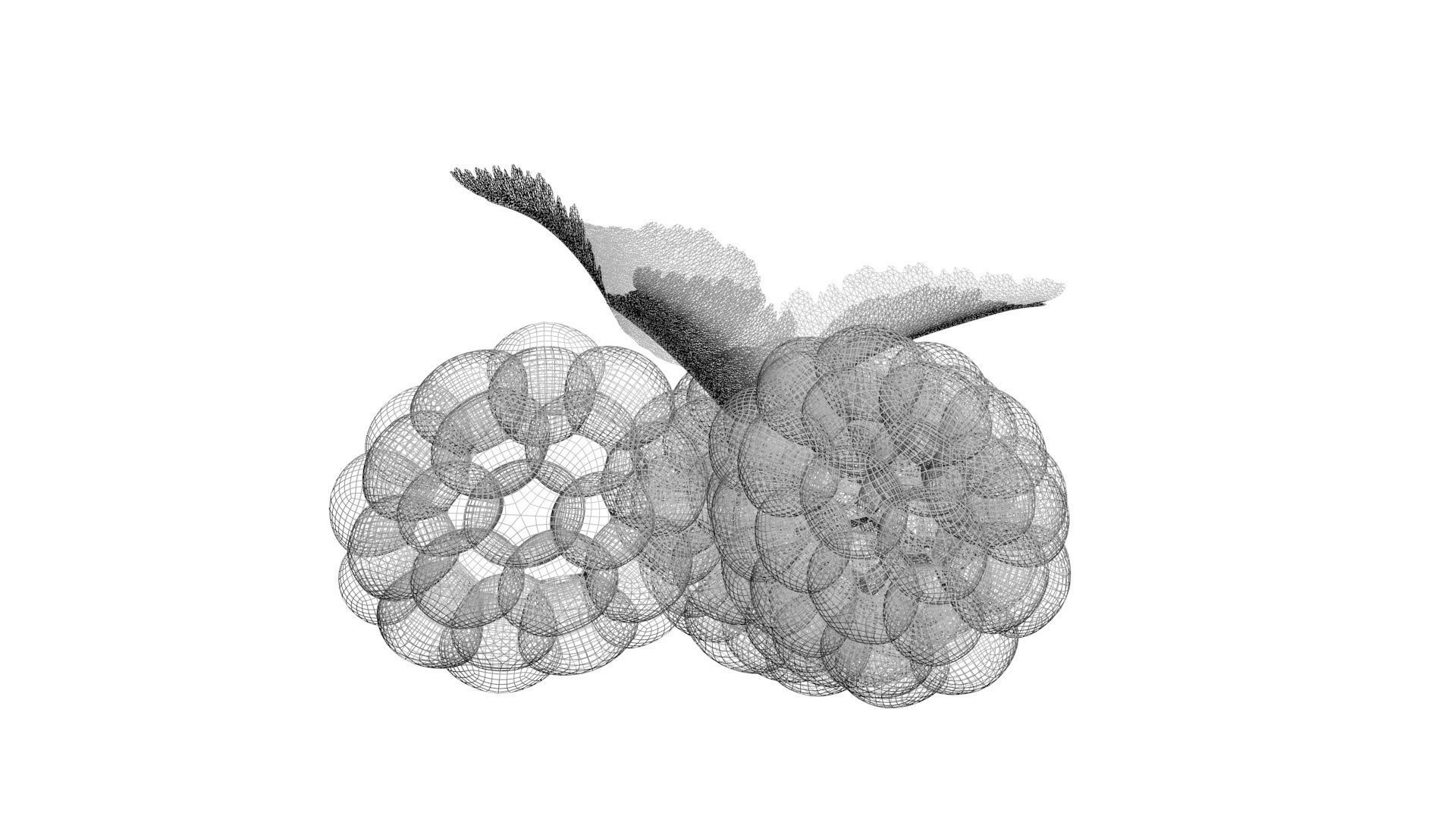 Raspberries With Leaves 3D model_24