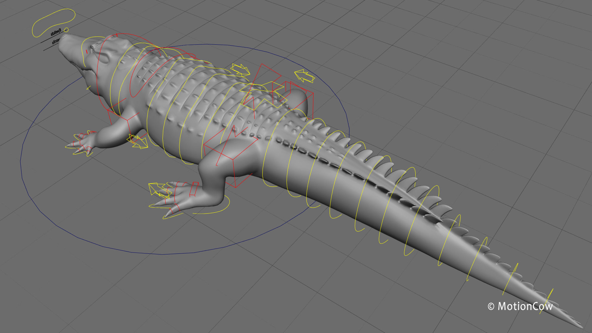 Alligator PRO 3D model_29