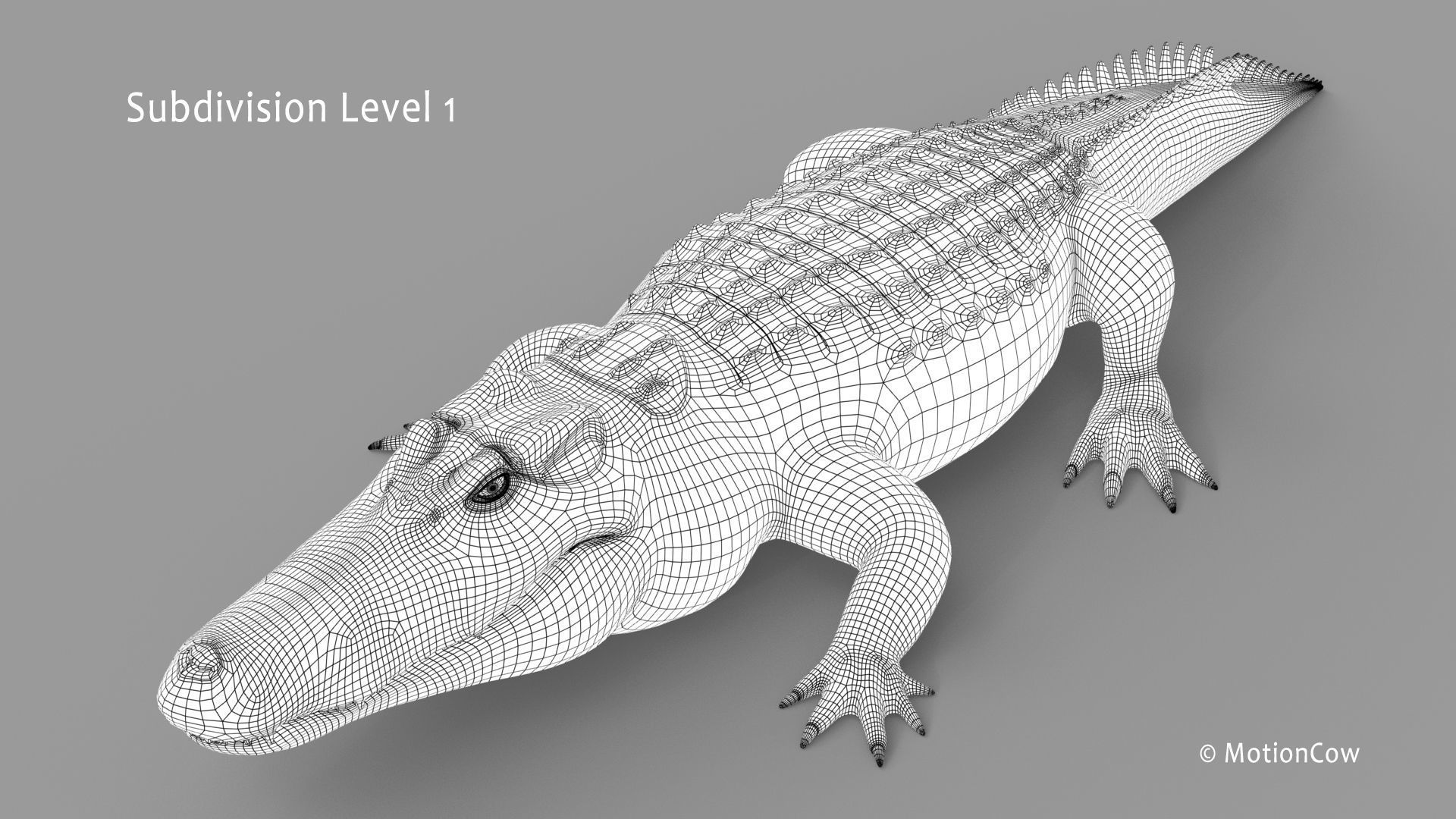 Alligator PRO 3D model_31