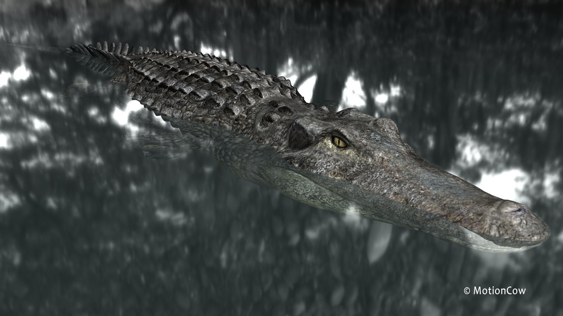 Alligator PRO 3D model_16
