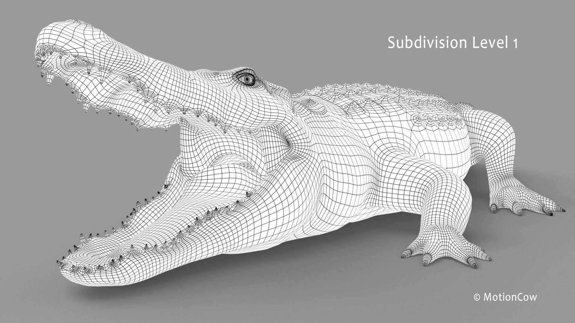 Alligator PRO 3D model_35