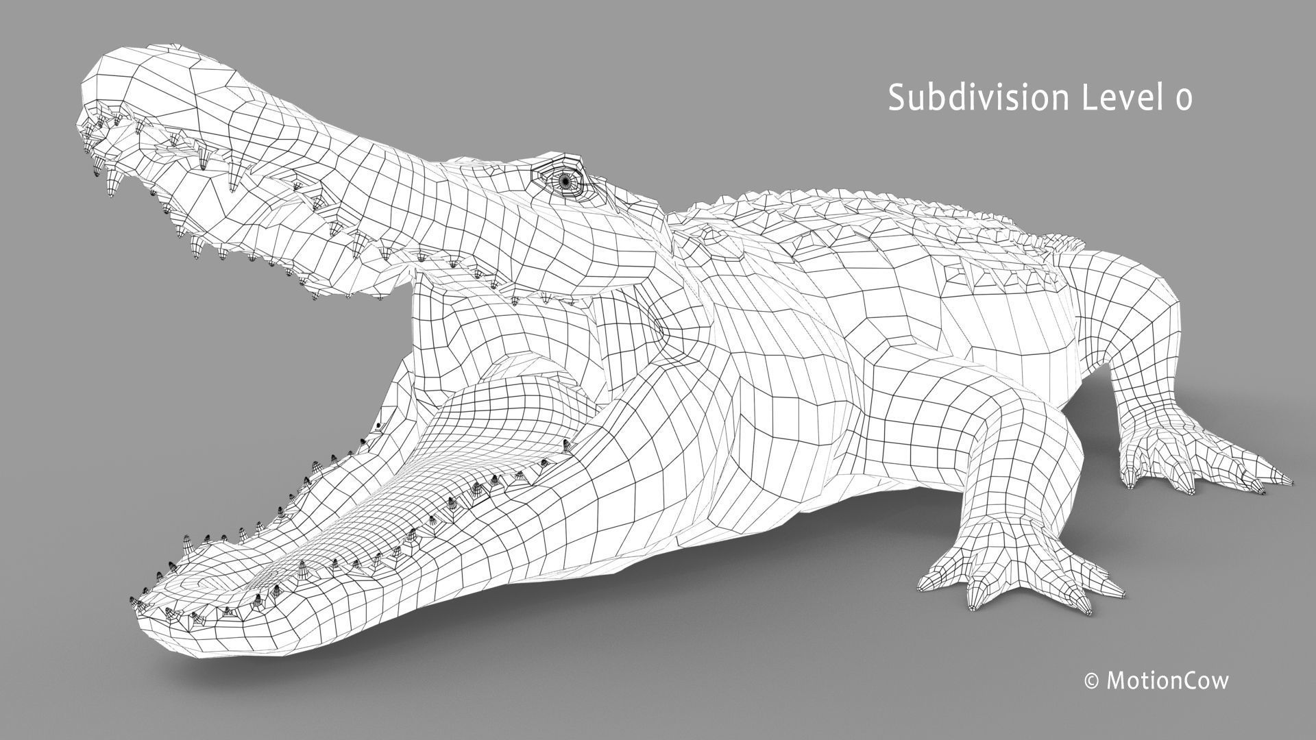 Alligator PRO 3D model_34