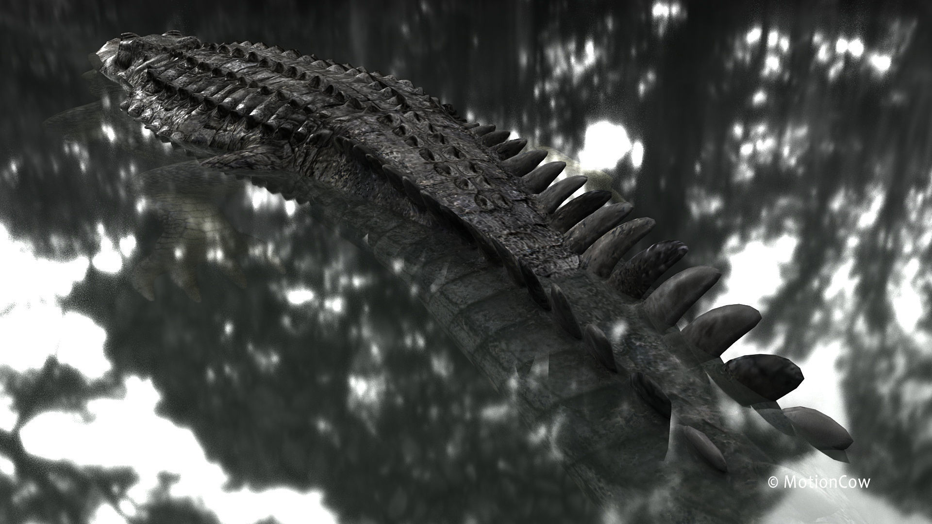 Alligator PRO 3D model_15