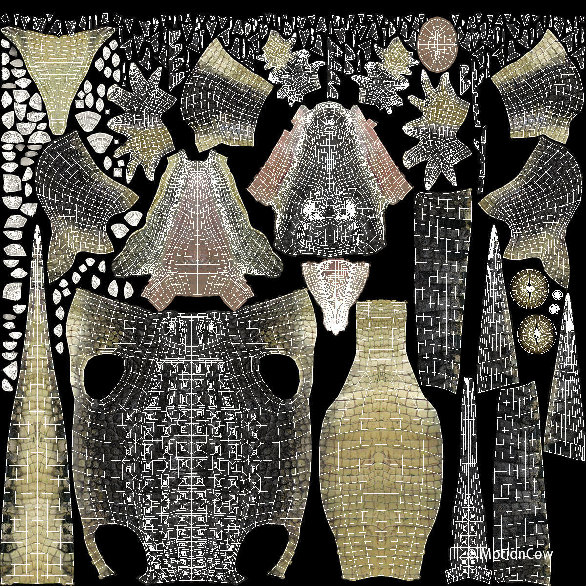 Alligator PRO 3D model_36