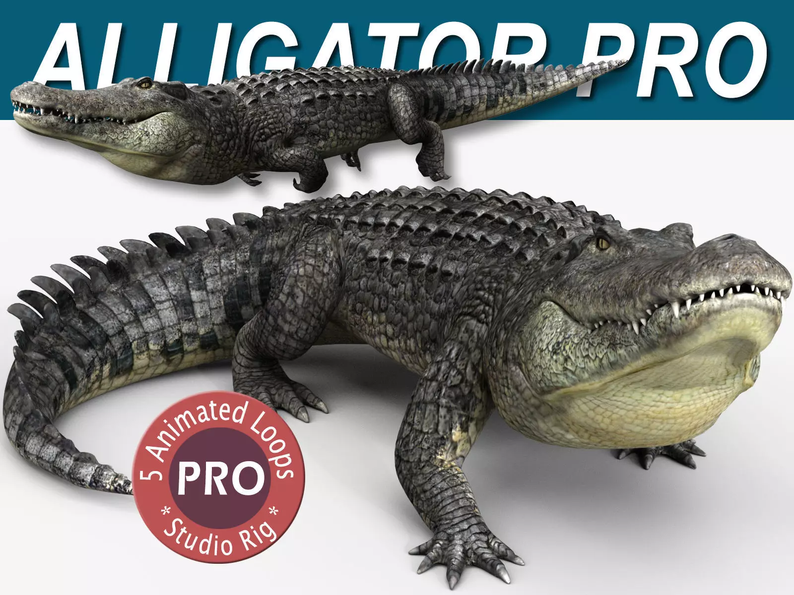 Alligator PRO 3D model_0