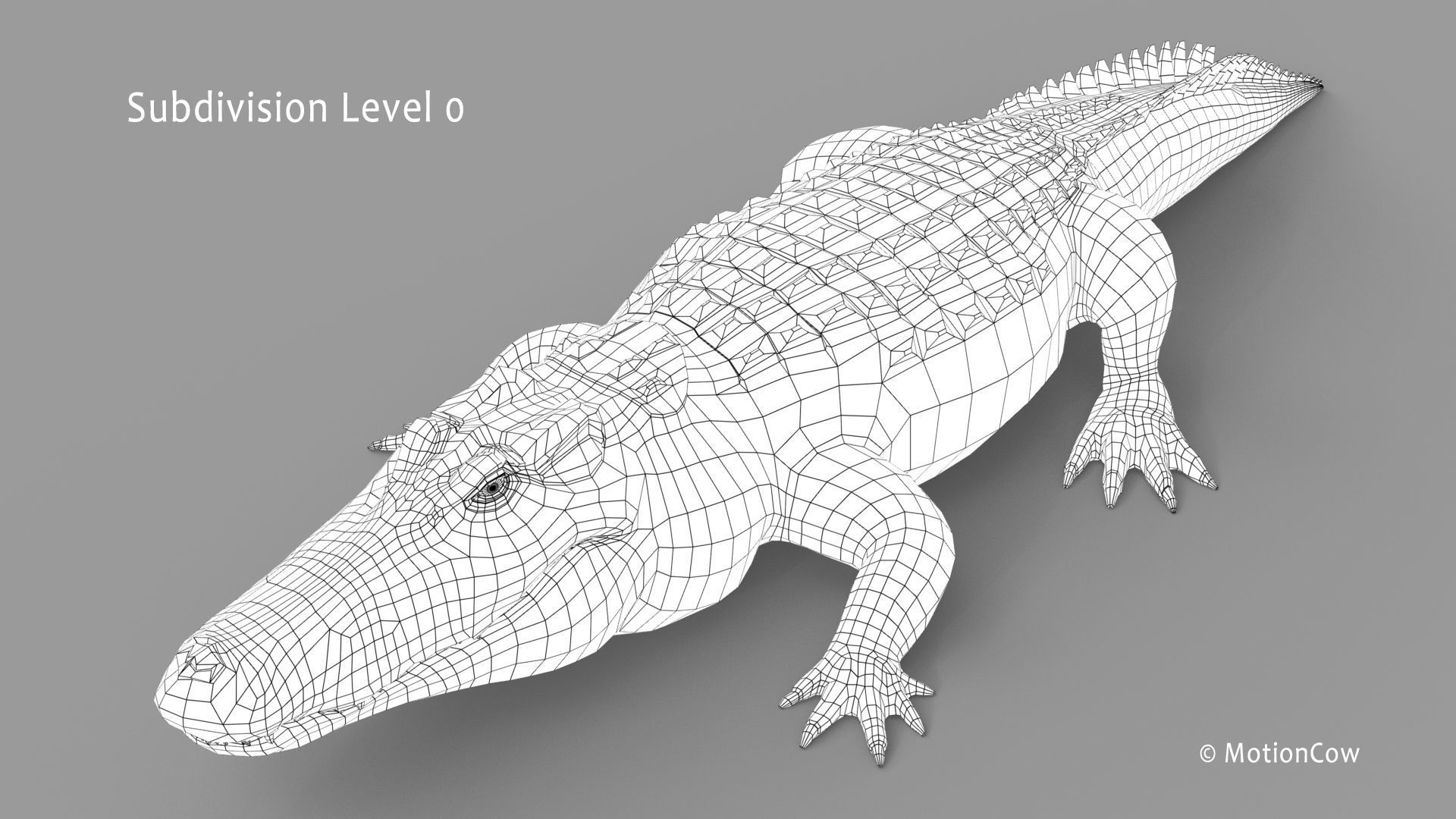 Alligator PRO 3D model_30