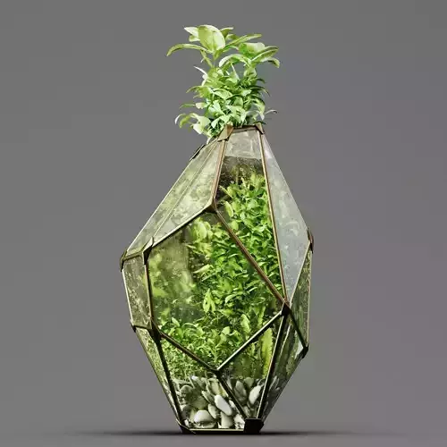 Decorative Fluval Anubias Plant