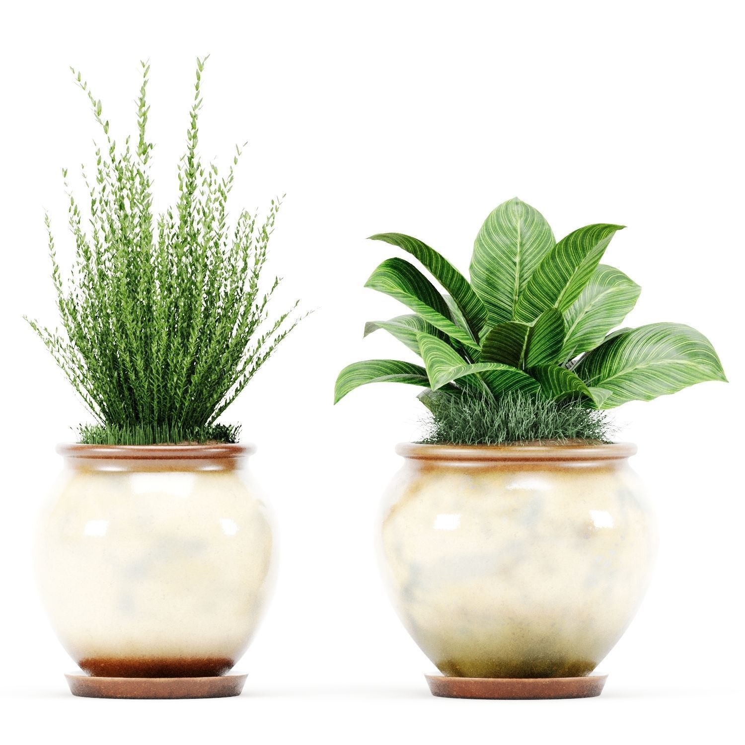 Decorative Indoor Plant Set 04 3D model_7