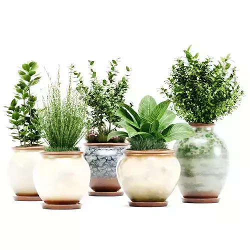 Decorative Indoor Plant Set 04