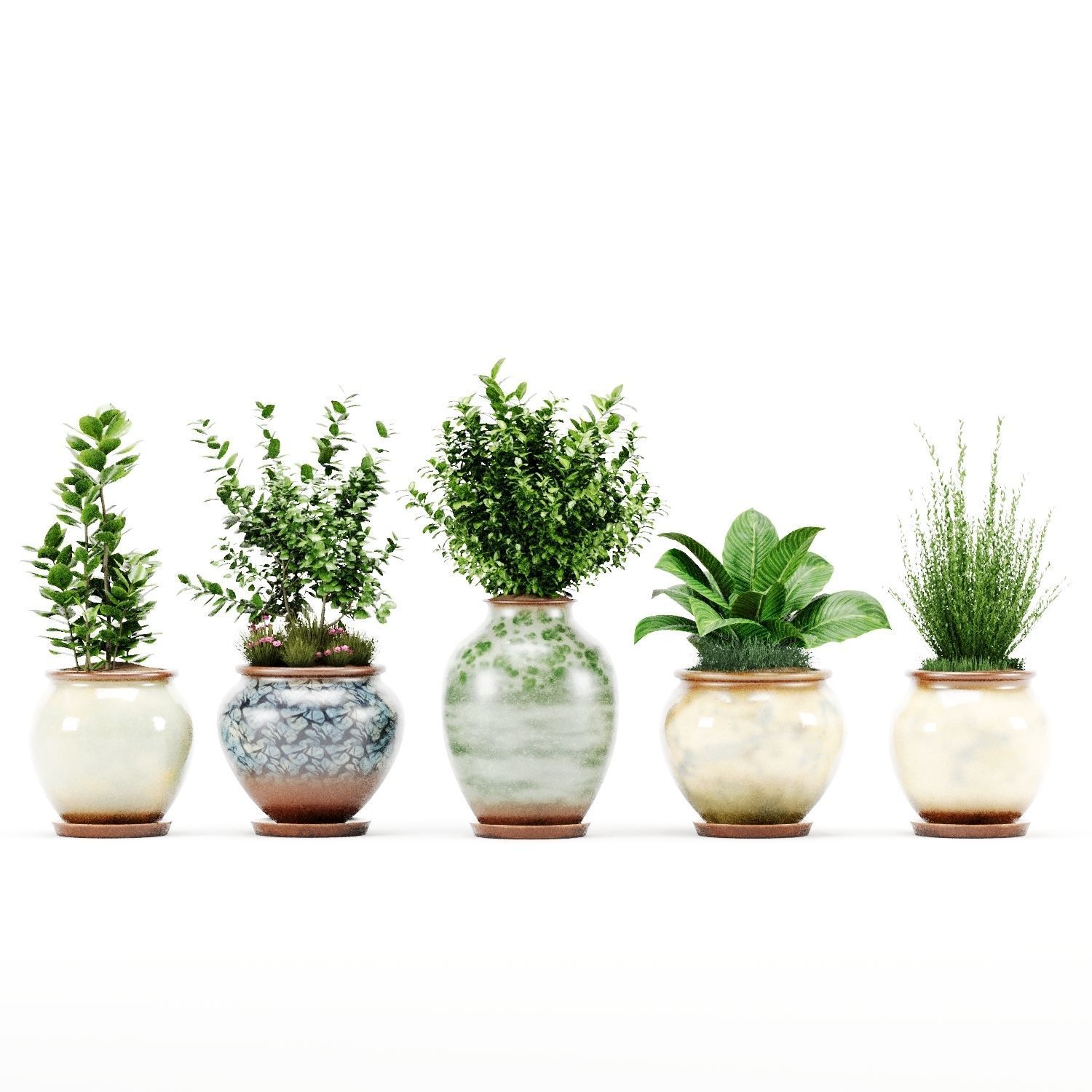 Decorative Indoor Plant Set 04 3D model_1