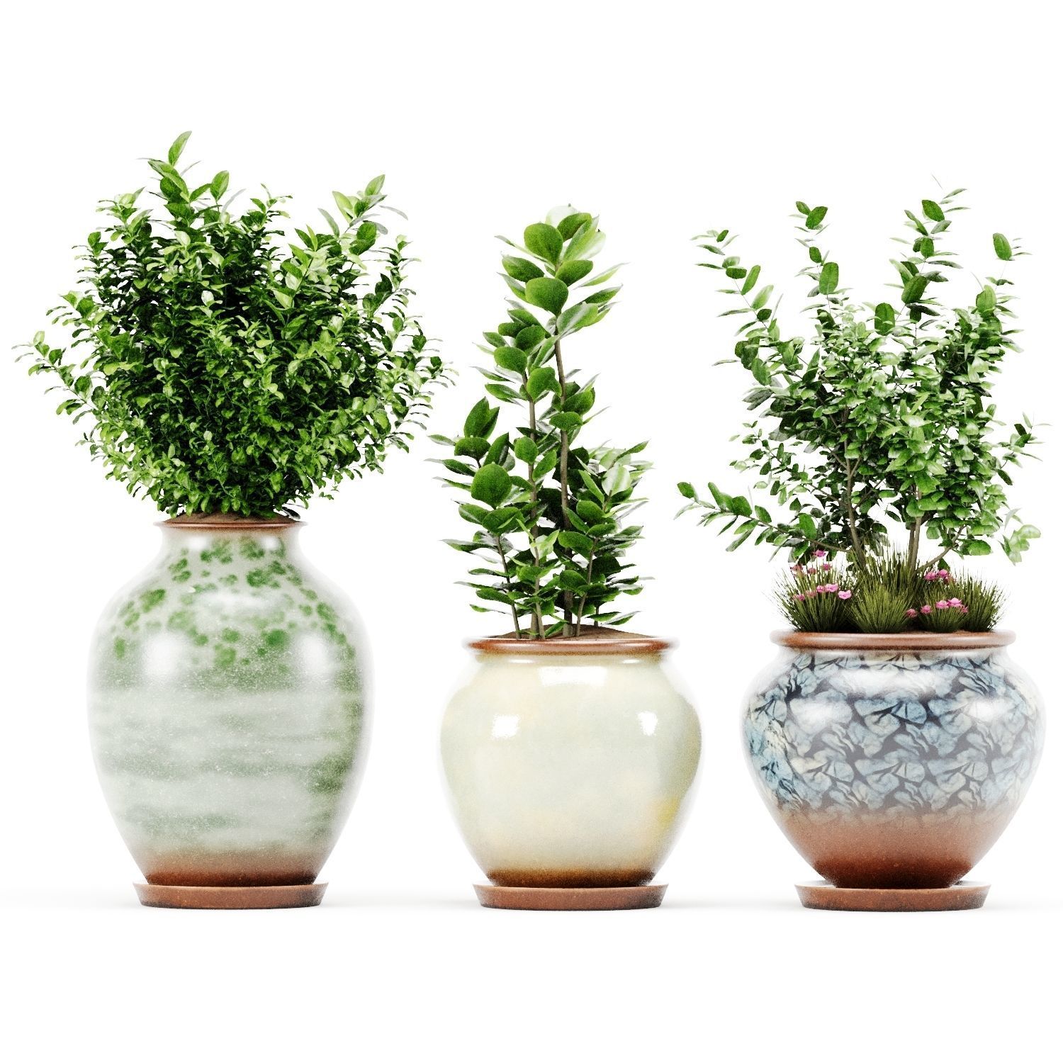 Decorative Indoor Plant Set 04 3D model_13