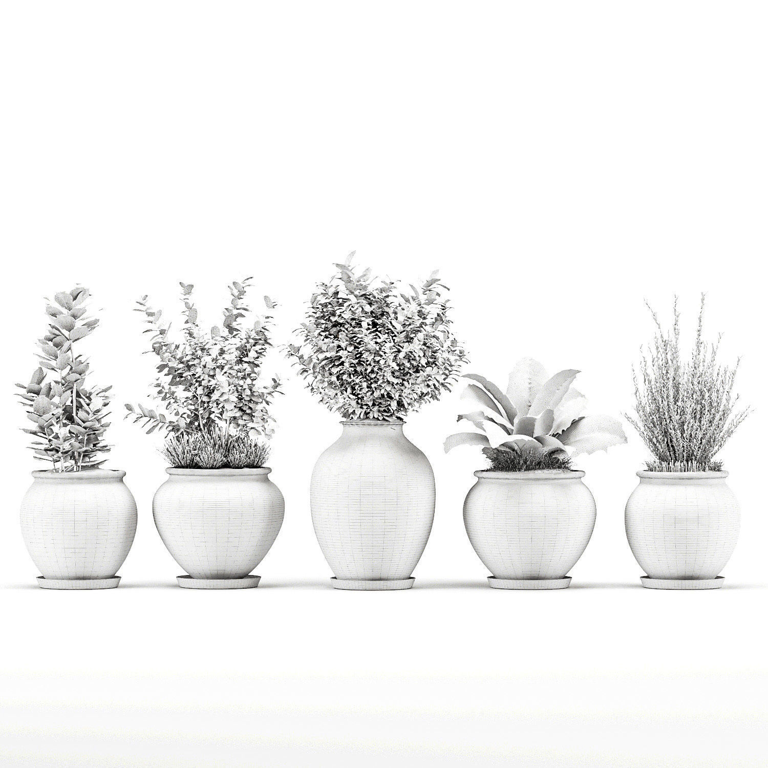 Decorative Indoor Plant Set 04 3D model_9