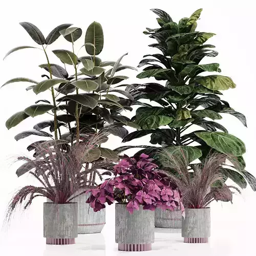 INDOOR PLANT SET 05