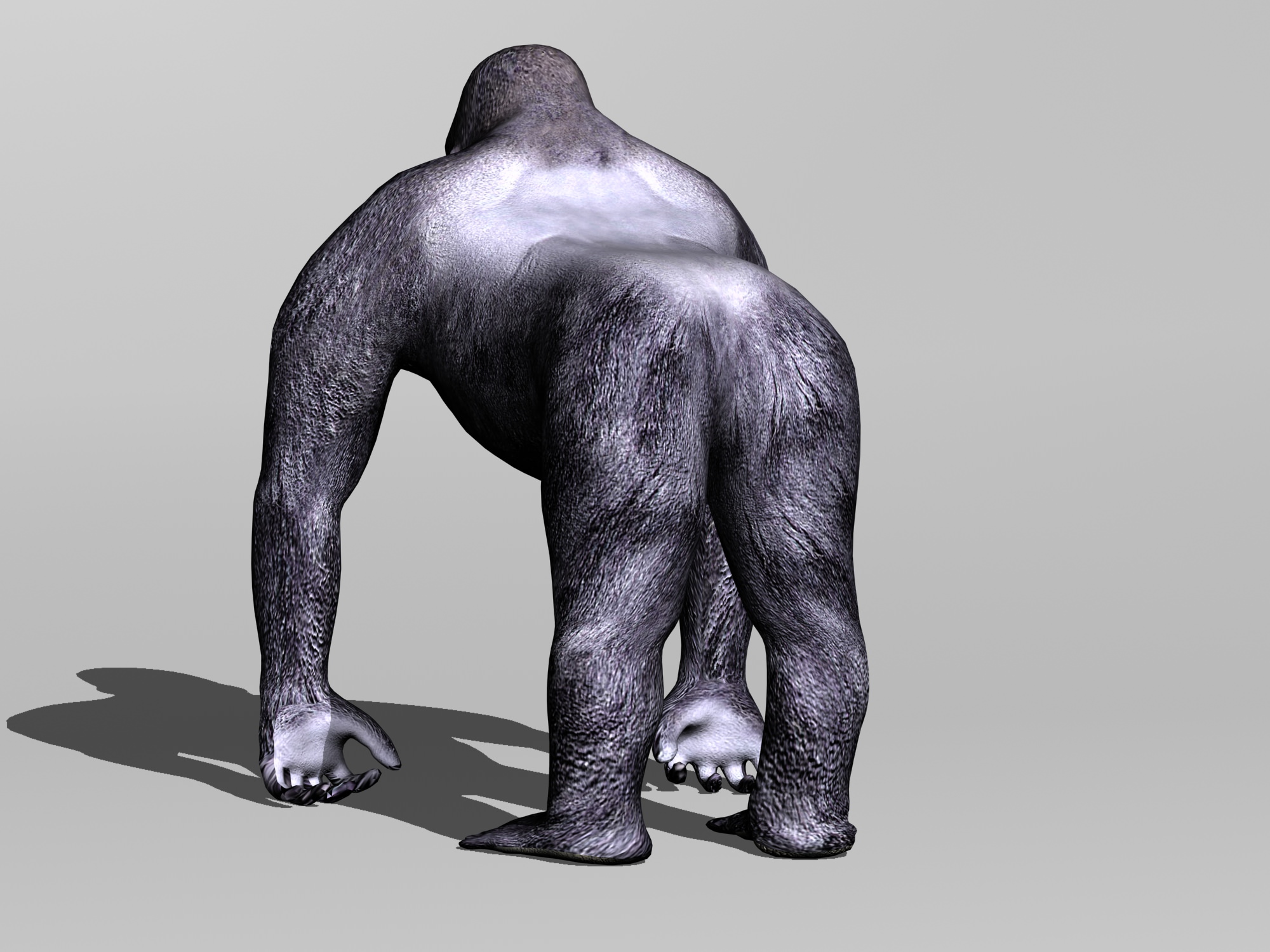 Gorilla 3D Model MAX OBJ 3DS FBX C4D BLEND | CGTrader.com