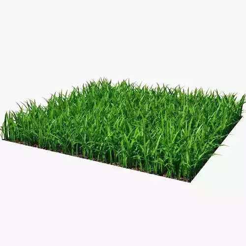 Fescue Grass Low-poly 3D model