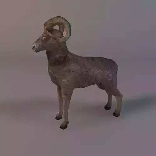 Low poly ram Low-poly 3D model