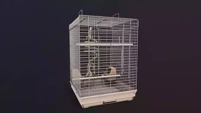 Bird Cage