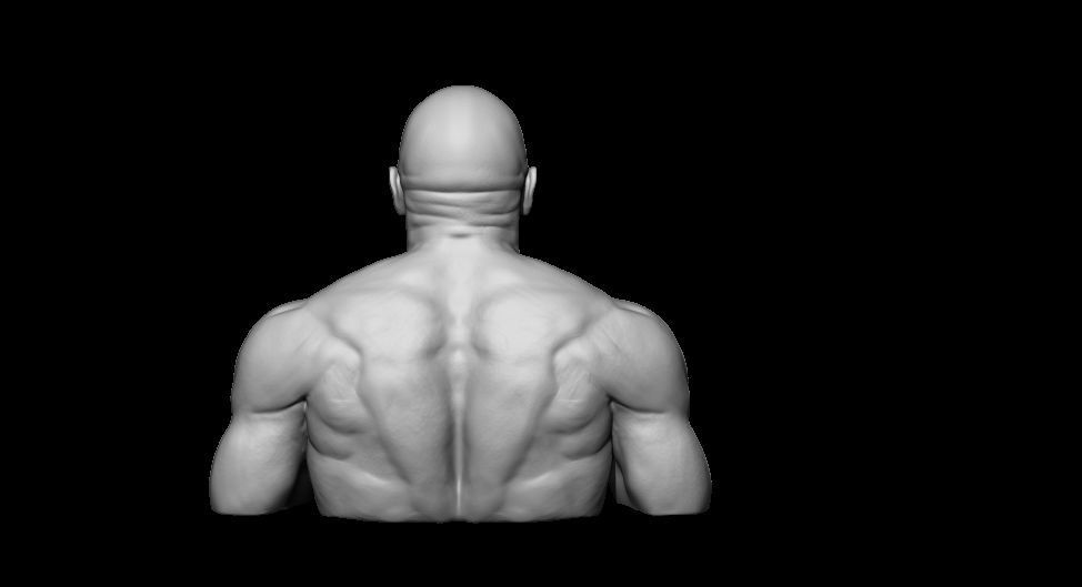 The Rock 3D print model_1