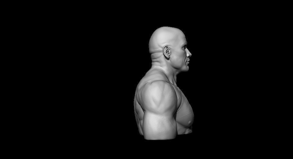 The Rock 3D print model_2