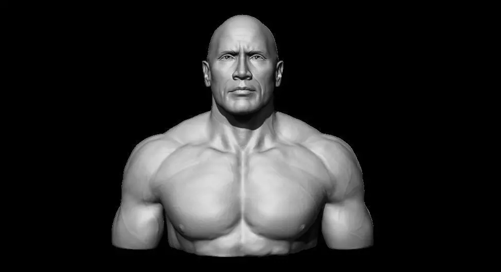 The Rock 3D print model_0