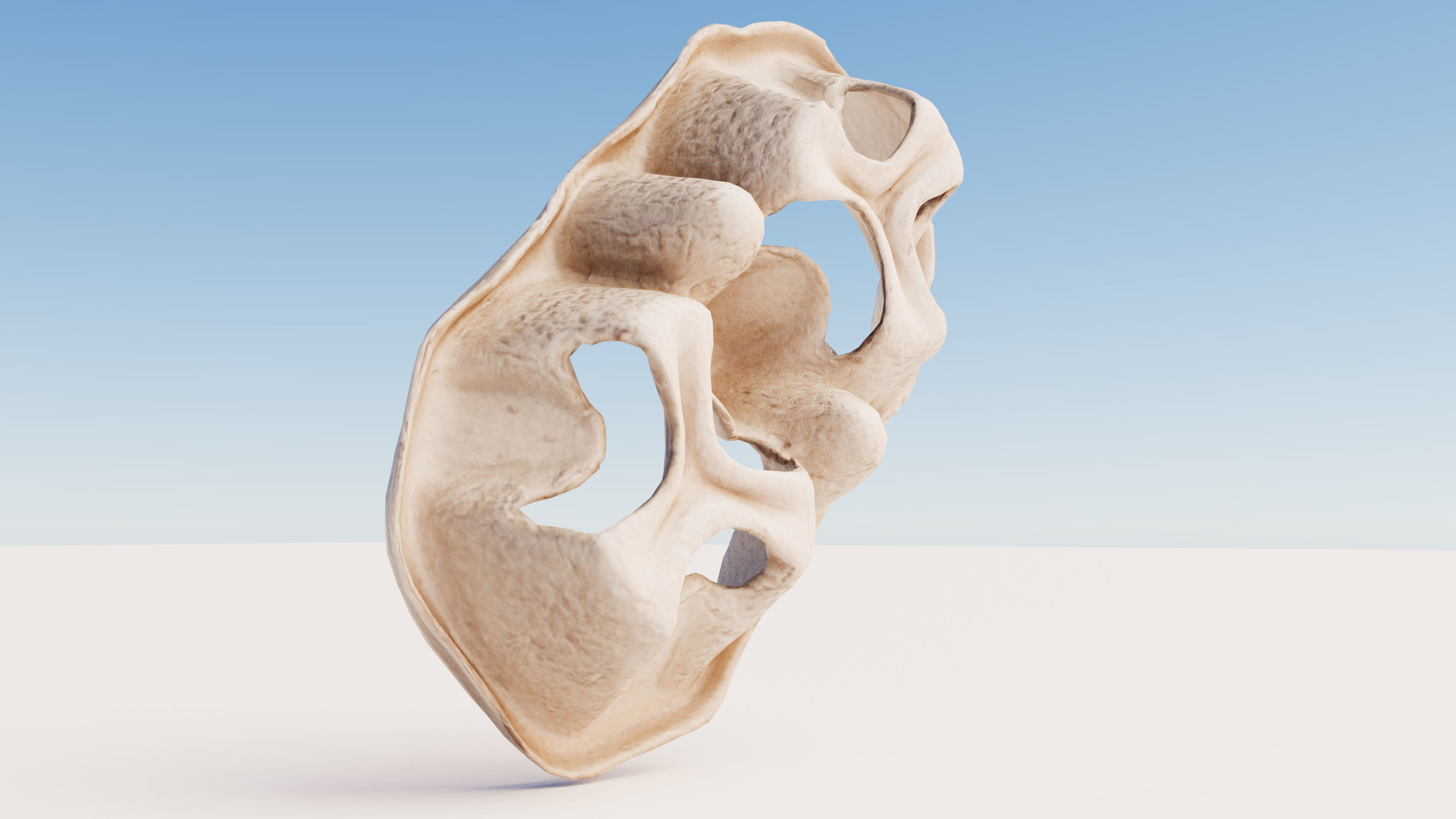 Paper Pulp Cup Carrier Low-poly 3D model_6