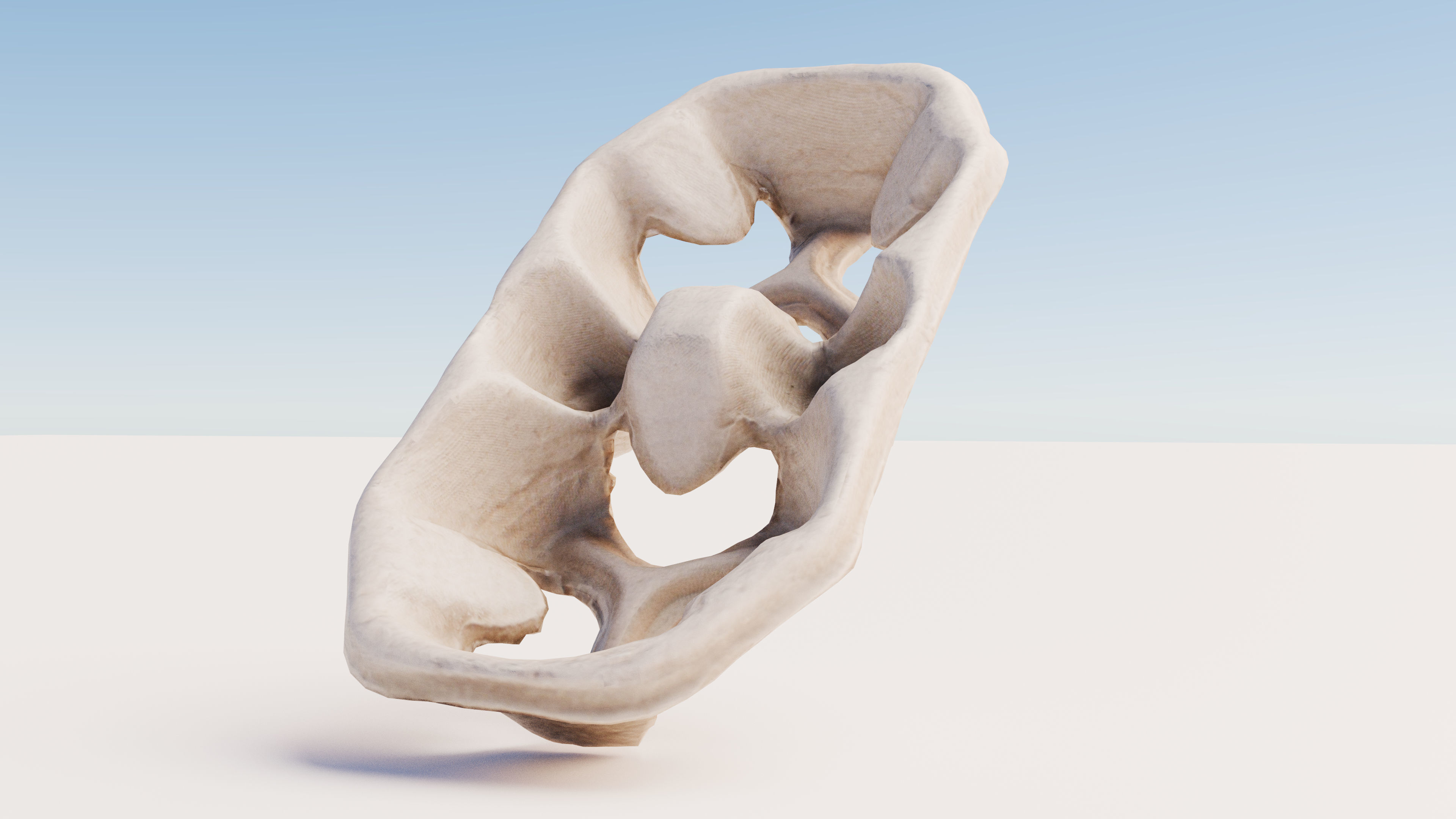 Paper Pulp Cup Carrier Low-poly 3D model_5