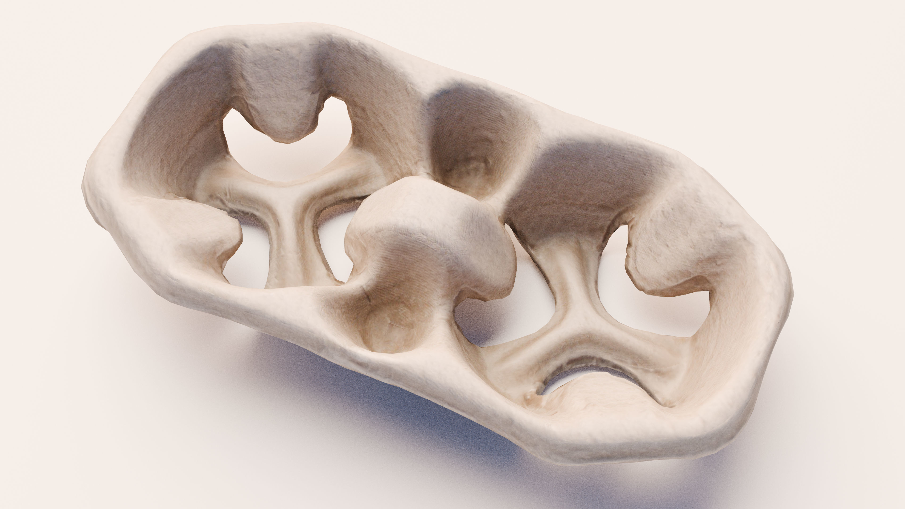 Paper Pulp Cup Carrier Low-poly 3D model_2