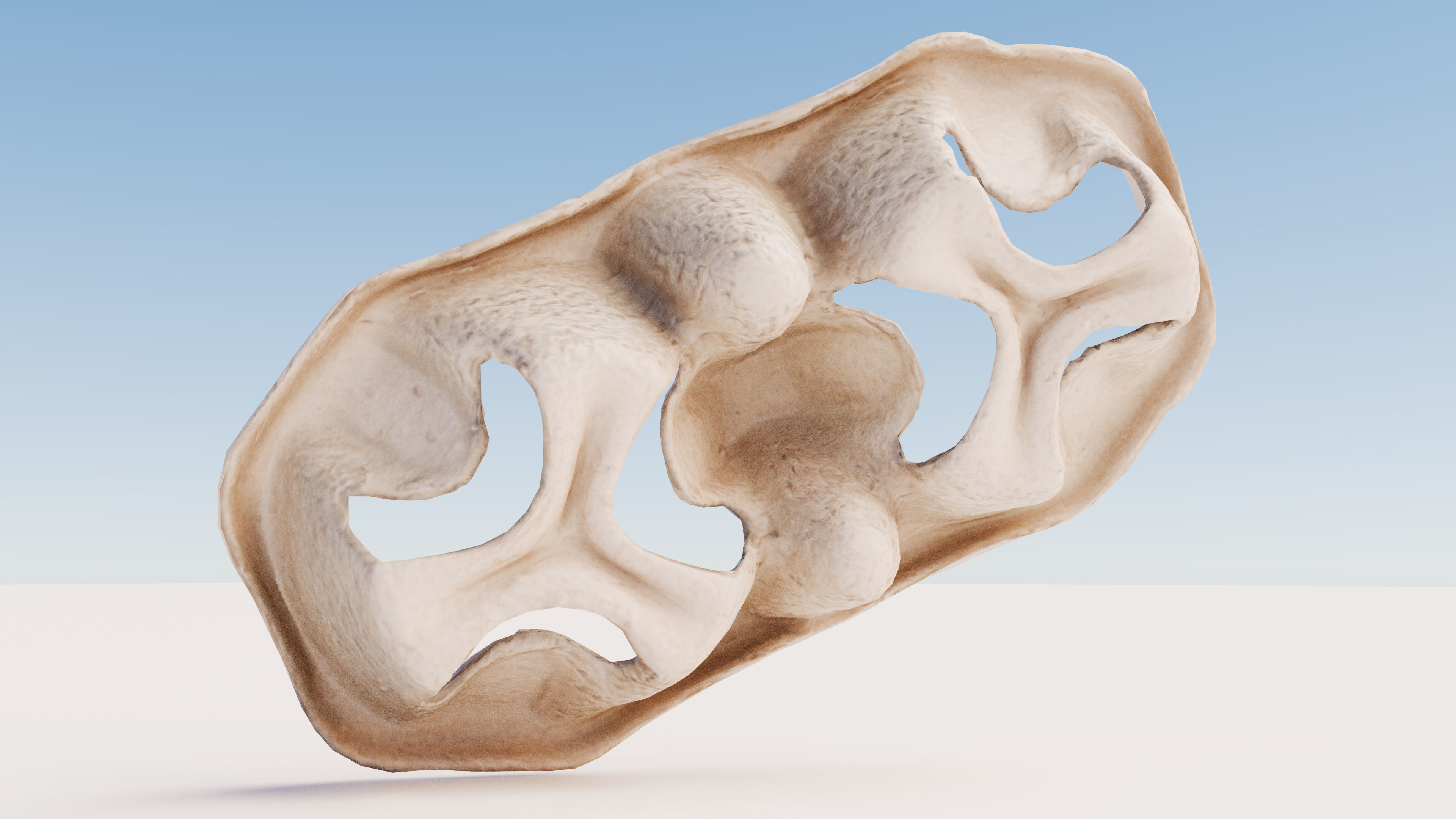 Paper Pulp Cup Carrier Low-poly 3D model_8