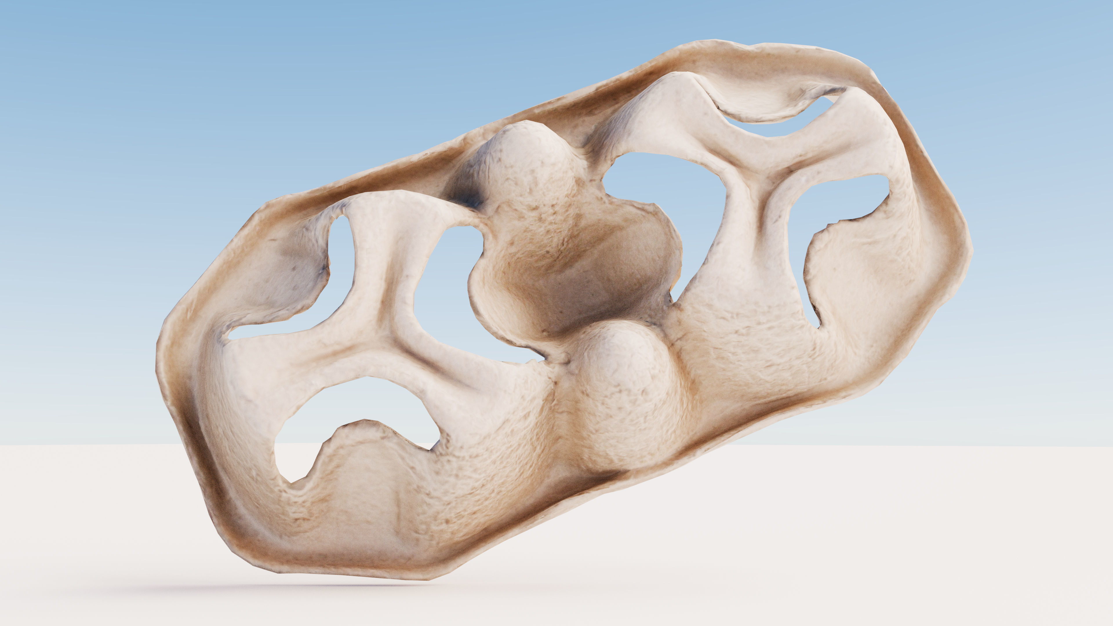 Paper Pulp Cup Carrier Low-poly 3D model_12