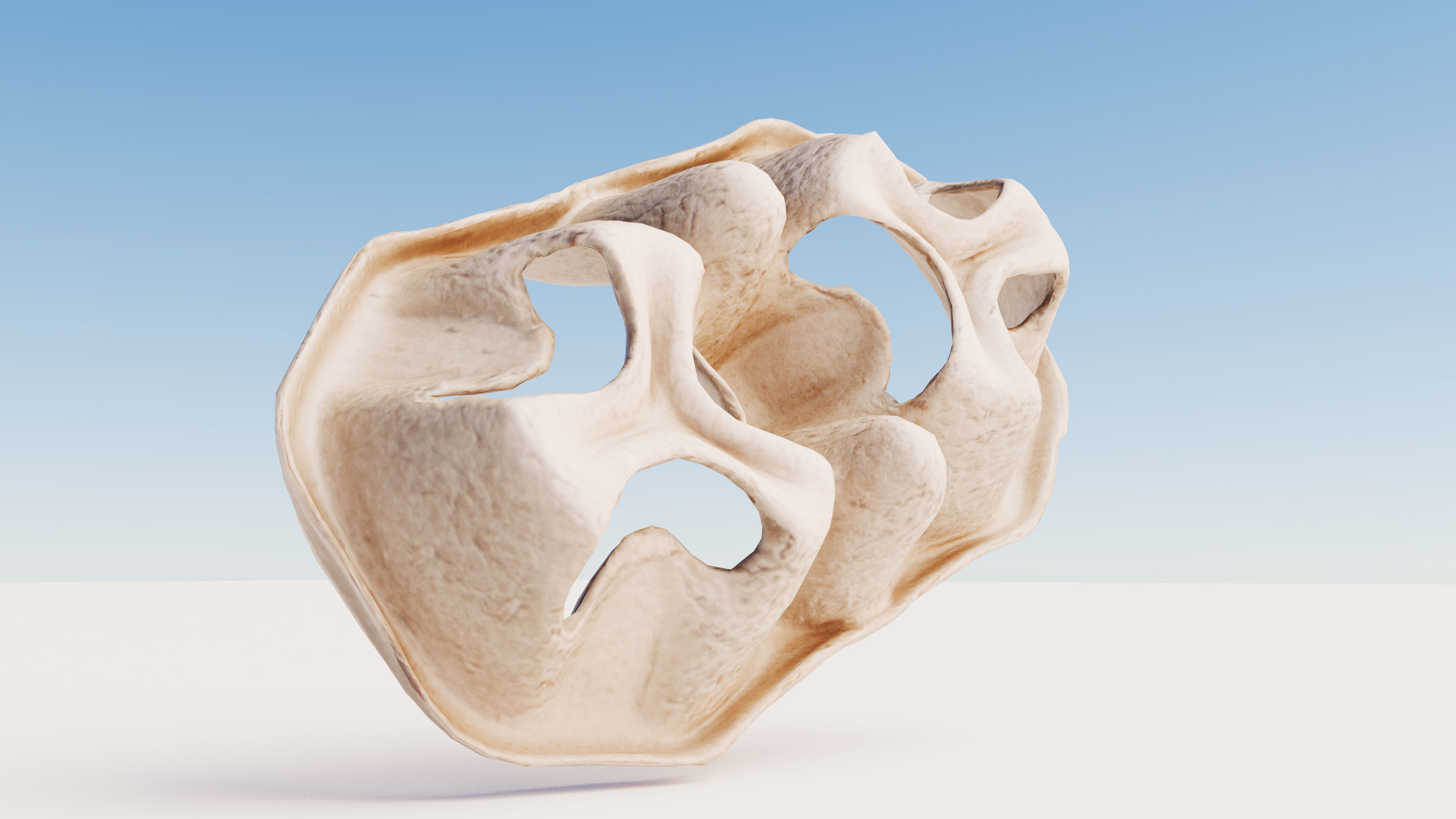 Paper Pulp Cup Carrier Low-poly 3D model_11