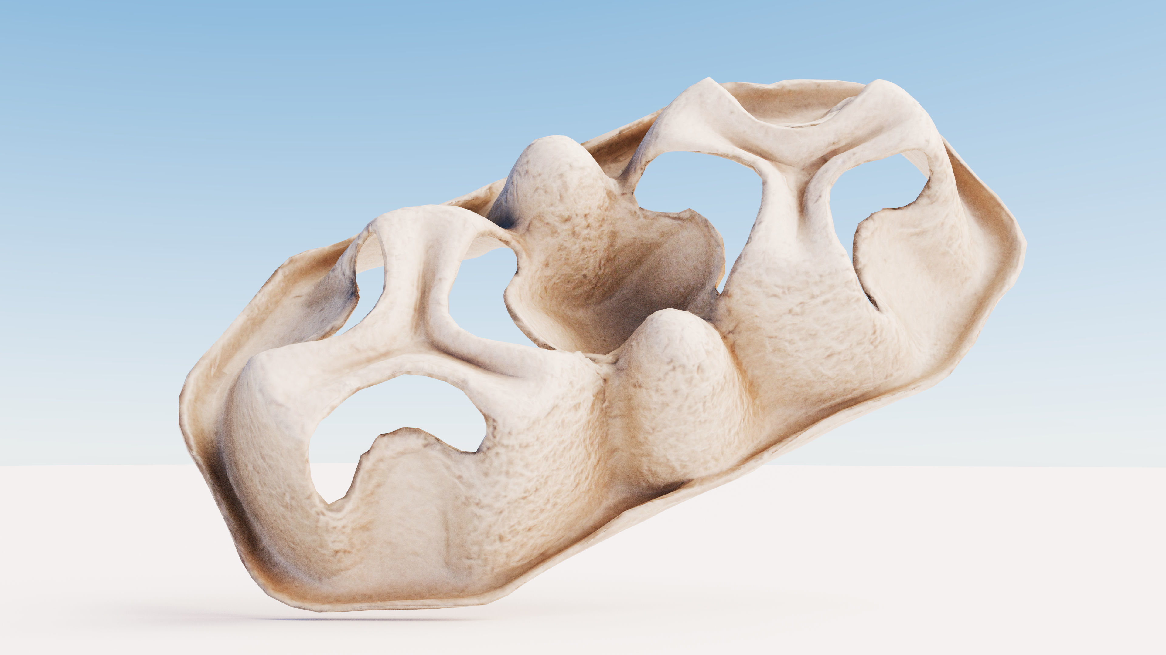 Paper Pulp Cup Carrier Low-poly 3D model_9