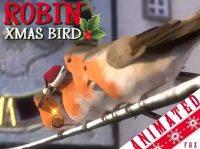 Robin 3D model