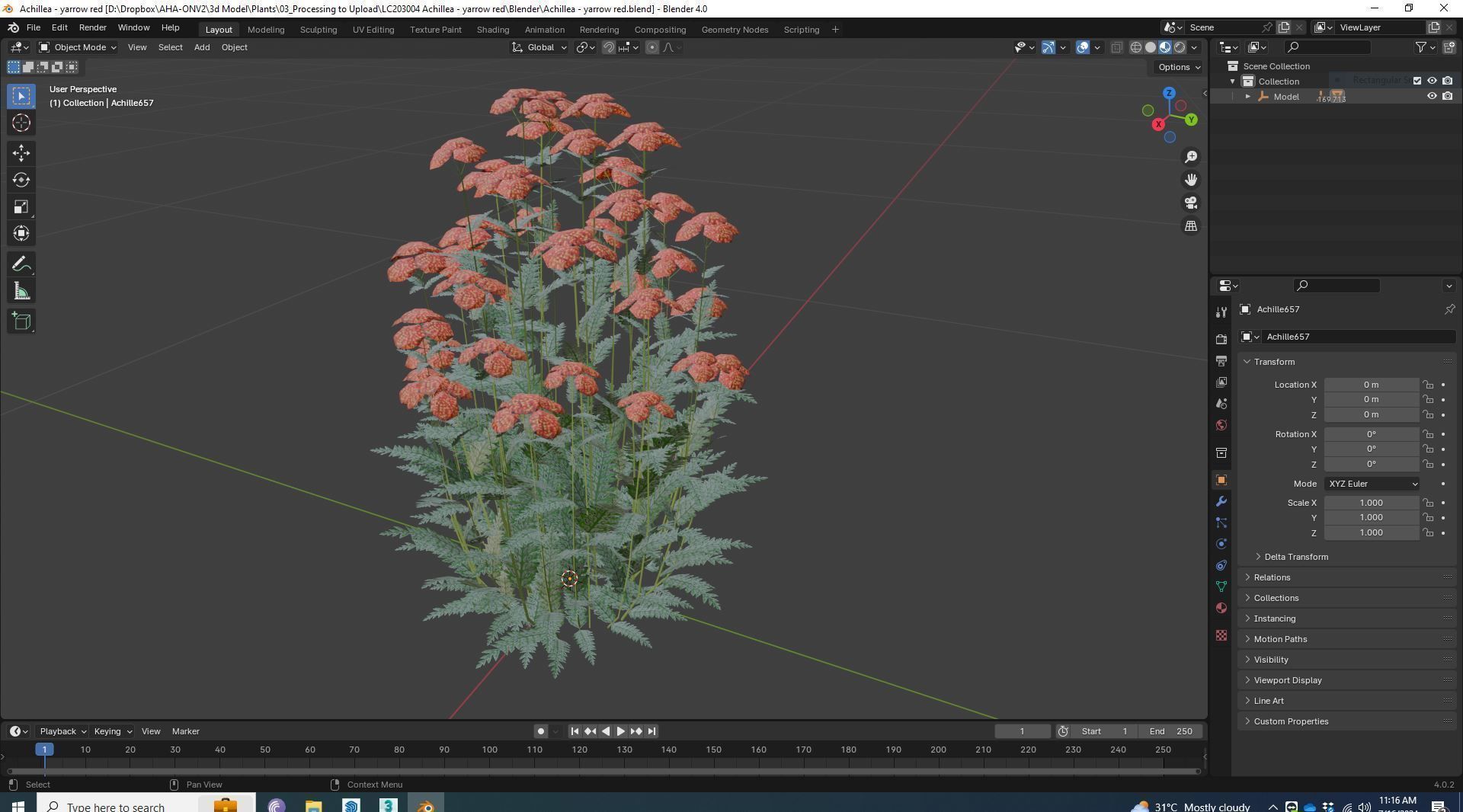 Achillea - yarrow red Low-poly 3D model_6
